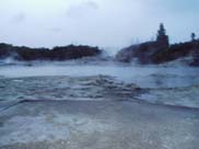 Rotorua - Hells Gate (Mud Pools)